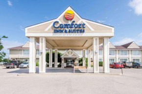  Comfort Inn & Suites Collingwood  Коллингвуд